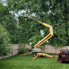 Best Tree and Shrub Care  in Altoona, PA