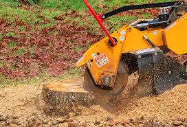 Best Tree Mulching  in Altoona, PA